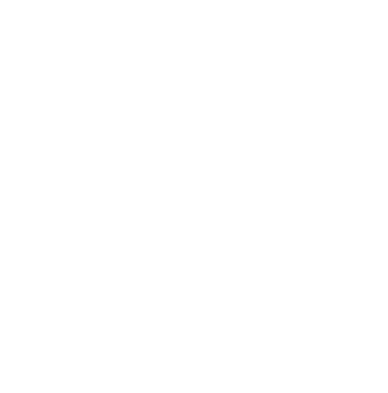 Systems Integrators
